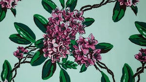 01022 001 rhododendron  mint2 2048x2048 copy